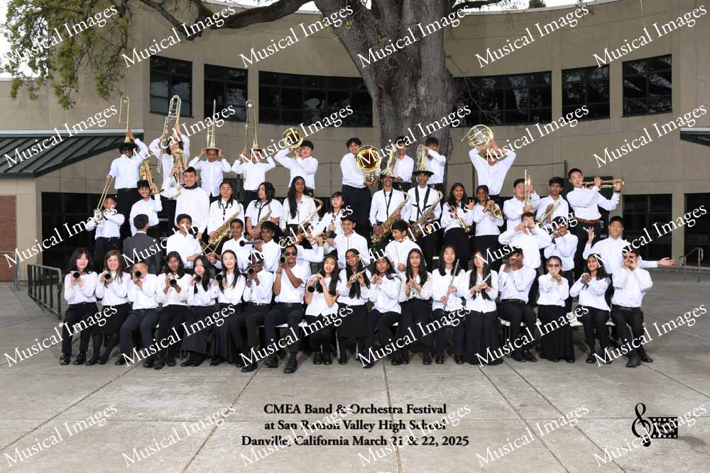 Musical Images